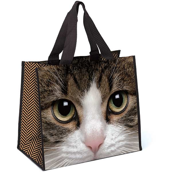 Tabby Cat Shopper