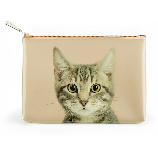 Tabby on Taupe Large Pouch
