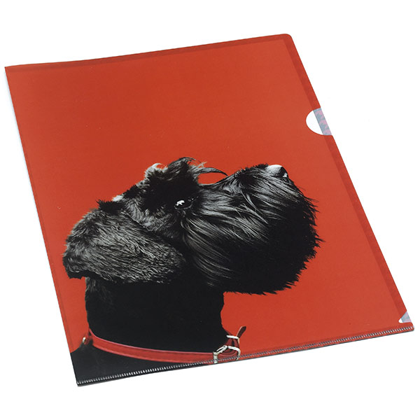 Terrier on Red Document Sleeve