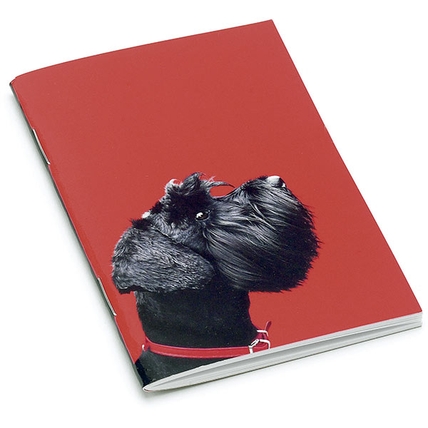 Terrier on Red Little Notebook